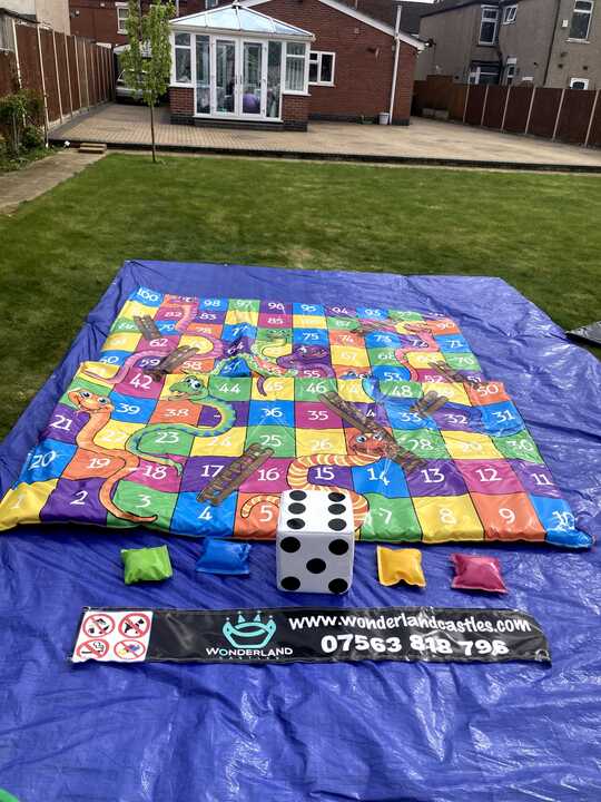 Giant Snake And Ladders